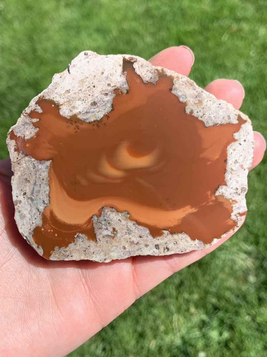 Bruneau_Jasper_Display_1.