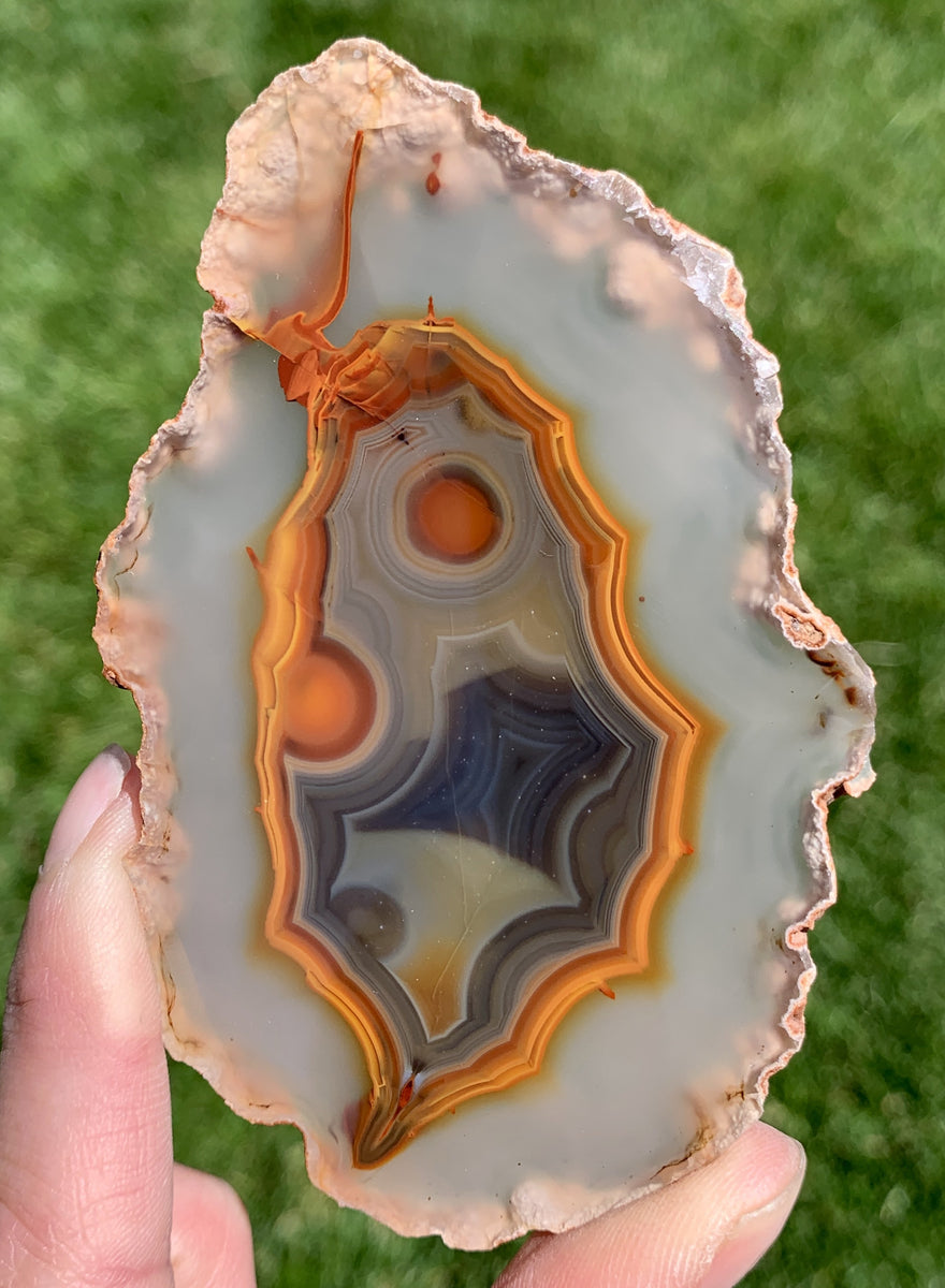 Condor_Agate_Display_11.