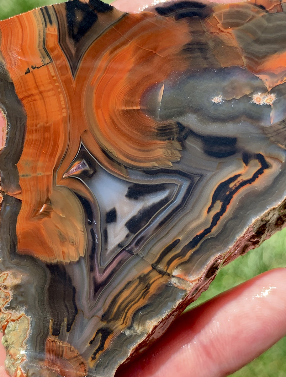 Condor_Agate_Slab_2.