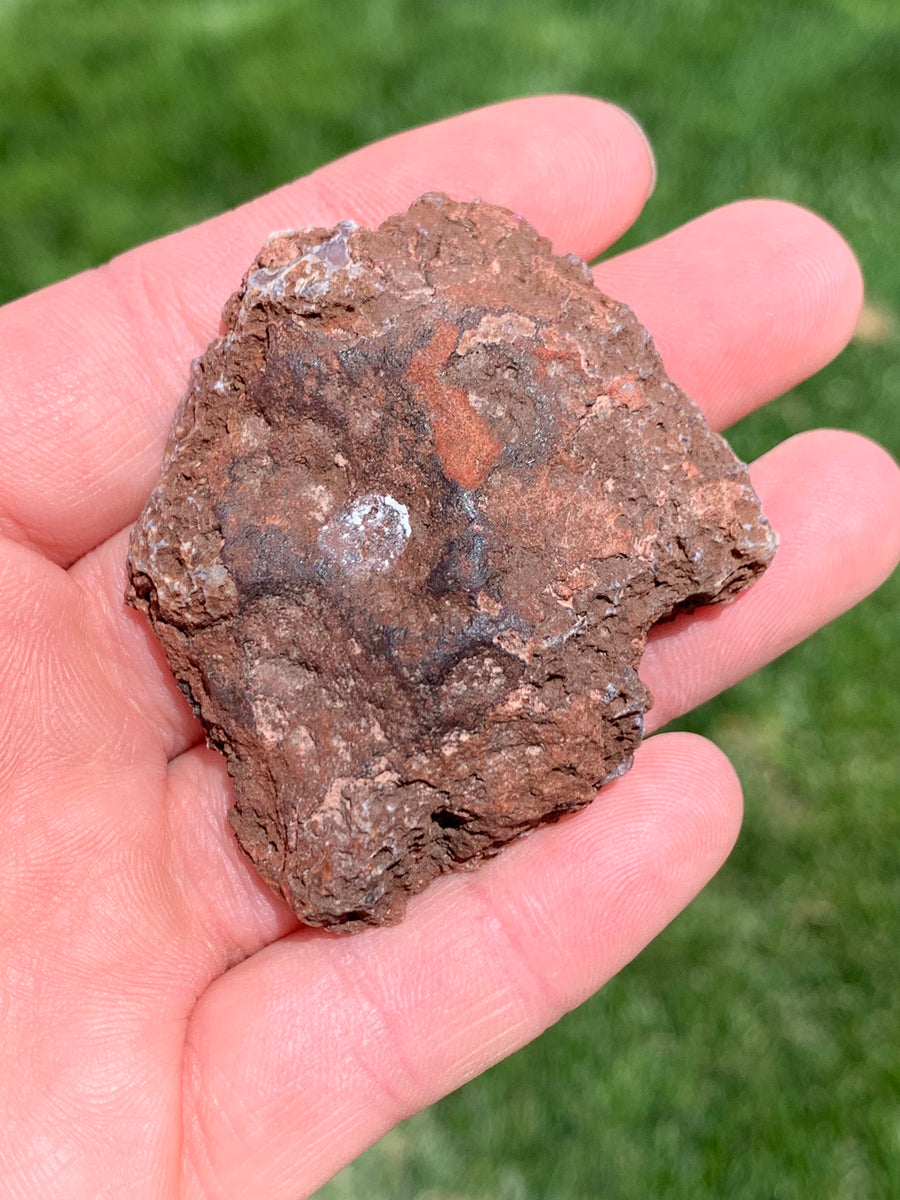 CondorAgate3.1_1200x1200.jpg?v