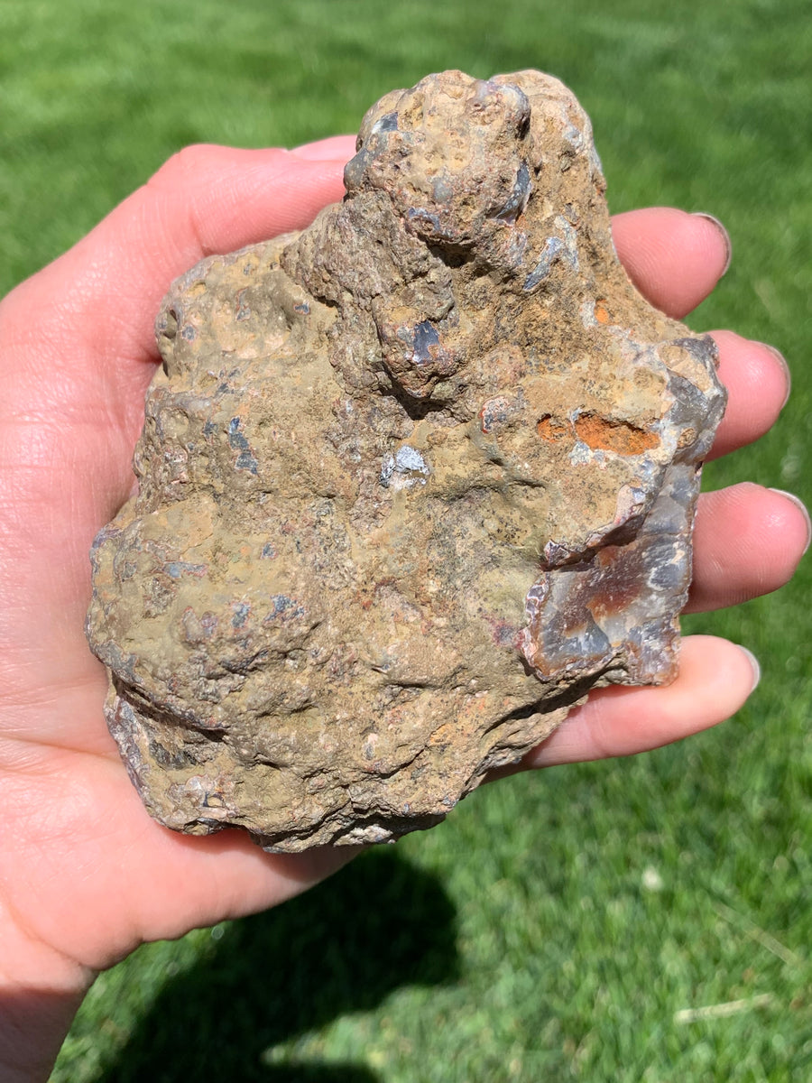 CondorAgateDisplay4.