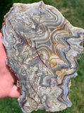 Mexican Lace Agate