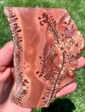 Apache Dendritic Rhyolite