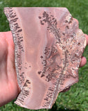 Apache Dendritic Rhyolite