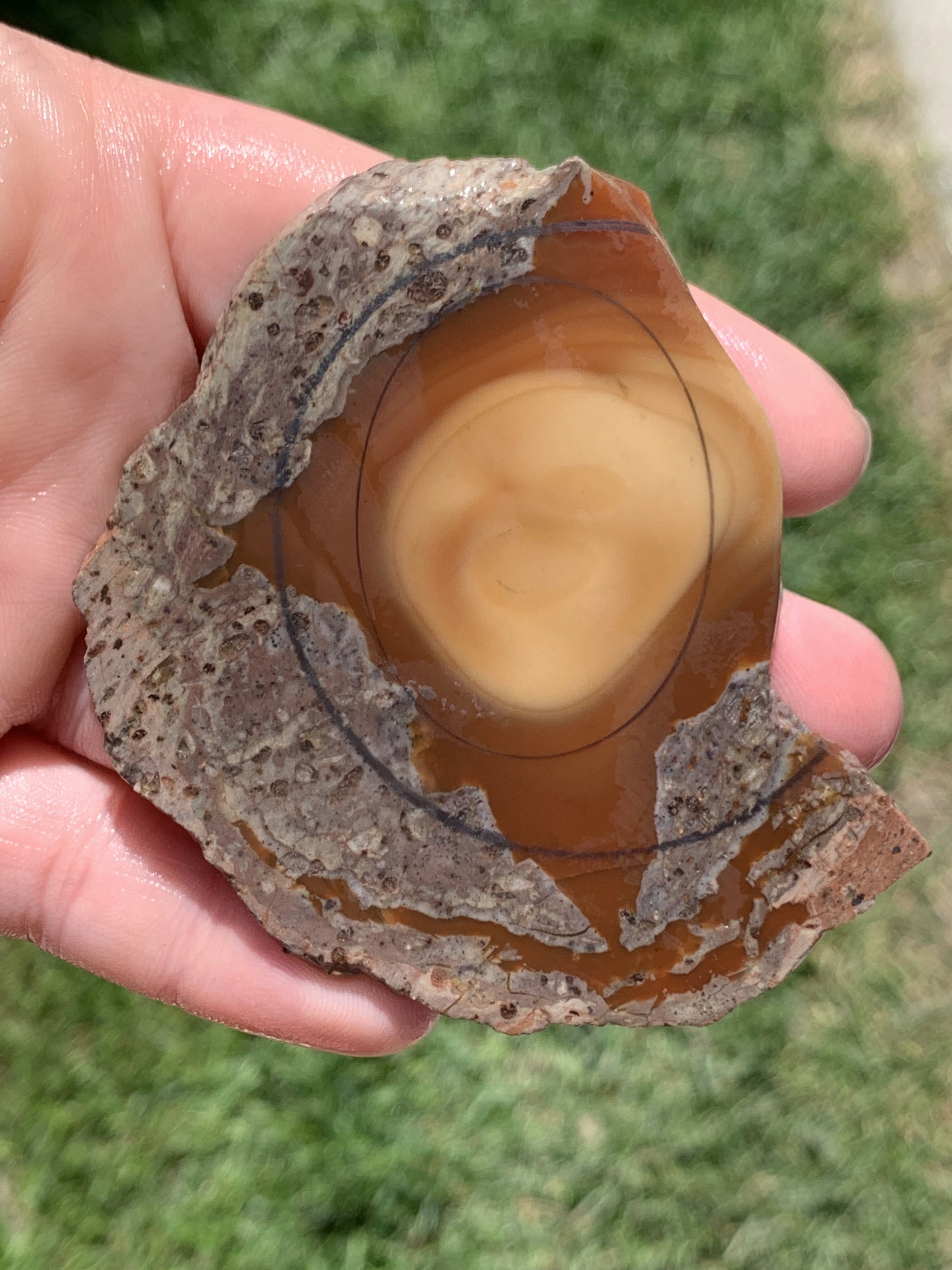 BruneauSlab5.3_2048x.jpg?v=