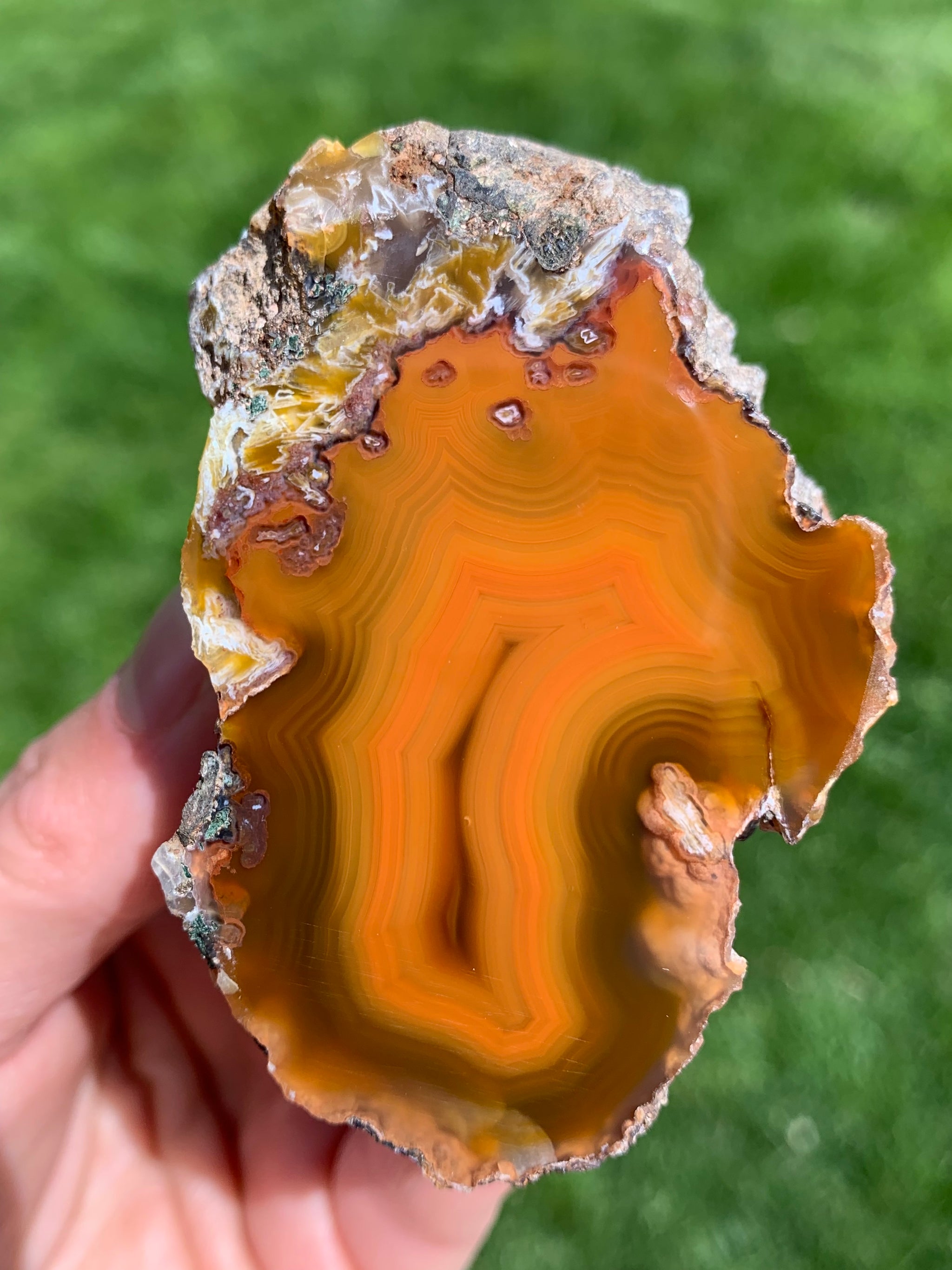 CondorAgate1.0_2048x.jpg?v=