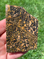 Leopard Skin Jasper