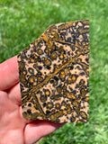 Leopard Skin Jasper