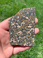 Leopard Skin Jasper