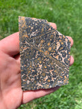 Leopard Skin Jasper