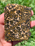 Leopard Skin Jasper
