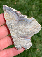 Mexican Lace Agate