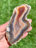 Moctezuma Agate