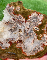 Mushroom Rhyolite