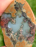 Priday Plume Agate