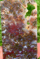 Purple Moss Agate