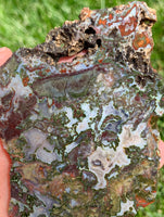 Unknown Moss Agate