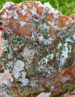 Unknown Moss Agate