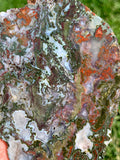 Unknown Moss Agate