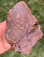 Wonderstone